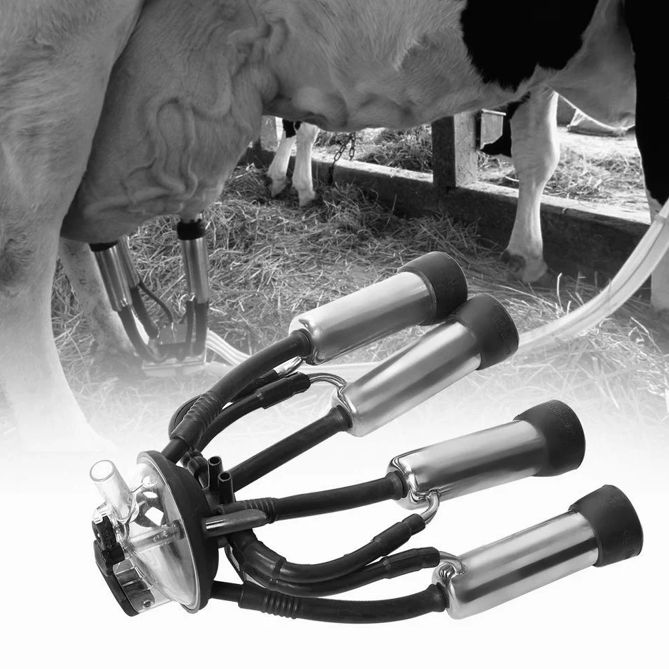 Ensemble de tasses à lait pour vache, 240cc, pour pompe à vide, Machine à traire